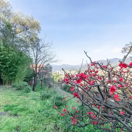 Diana By Portofinohomes Zoagli