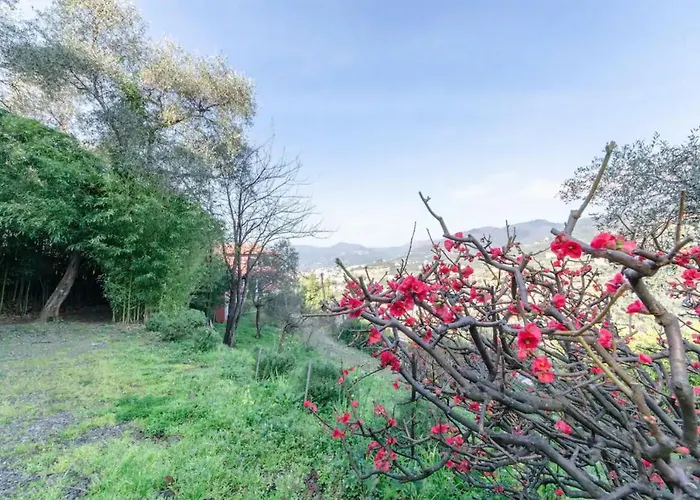 Diana By Portofinohomes Zoagli